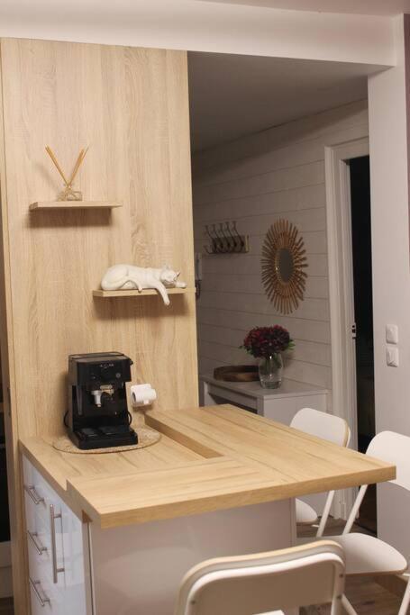 Chartres Hyper Centre Bel Appartement Renove ภายนอก รูปภาพ